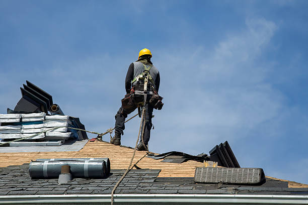 Professional Roofing technician working in Sutter, IL
